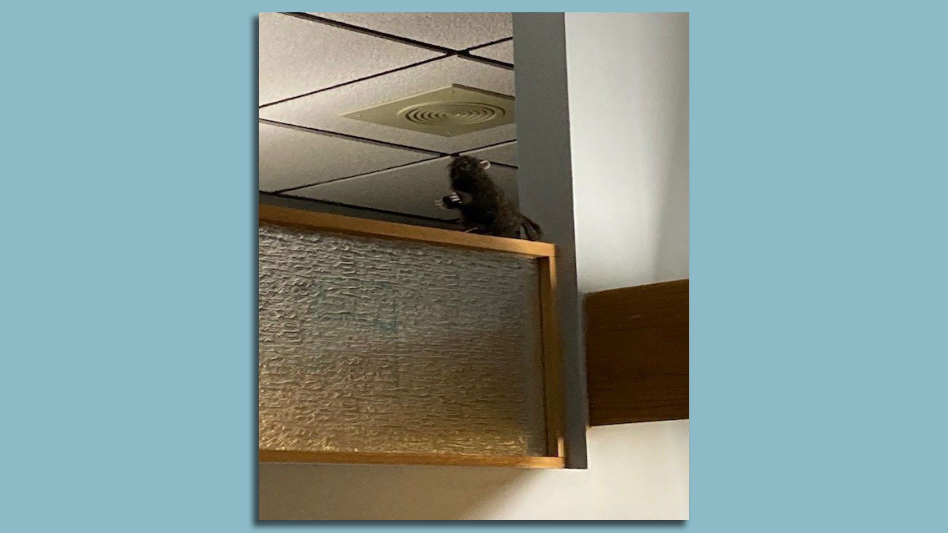 A stuffed rat atop a partition wall near a Denver firefighter's sleeping quarters inside Fire Station 5 in Glendale. 