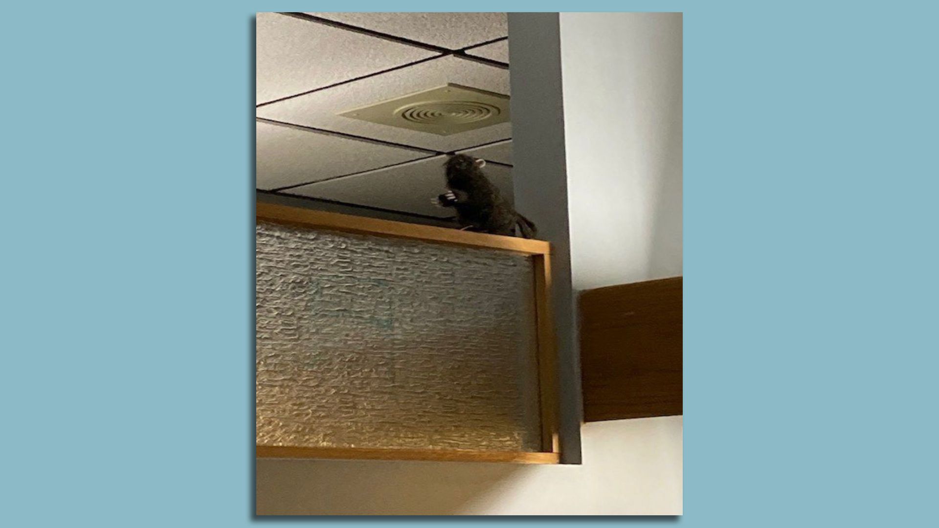 A stuffed rat atop a partition wall near a Denver firefighter's sleeping quarters inside Fire Station 5 in Glendale.
