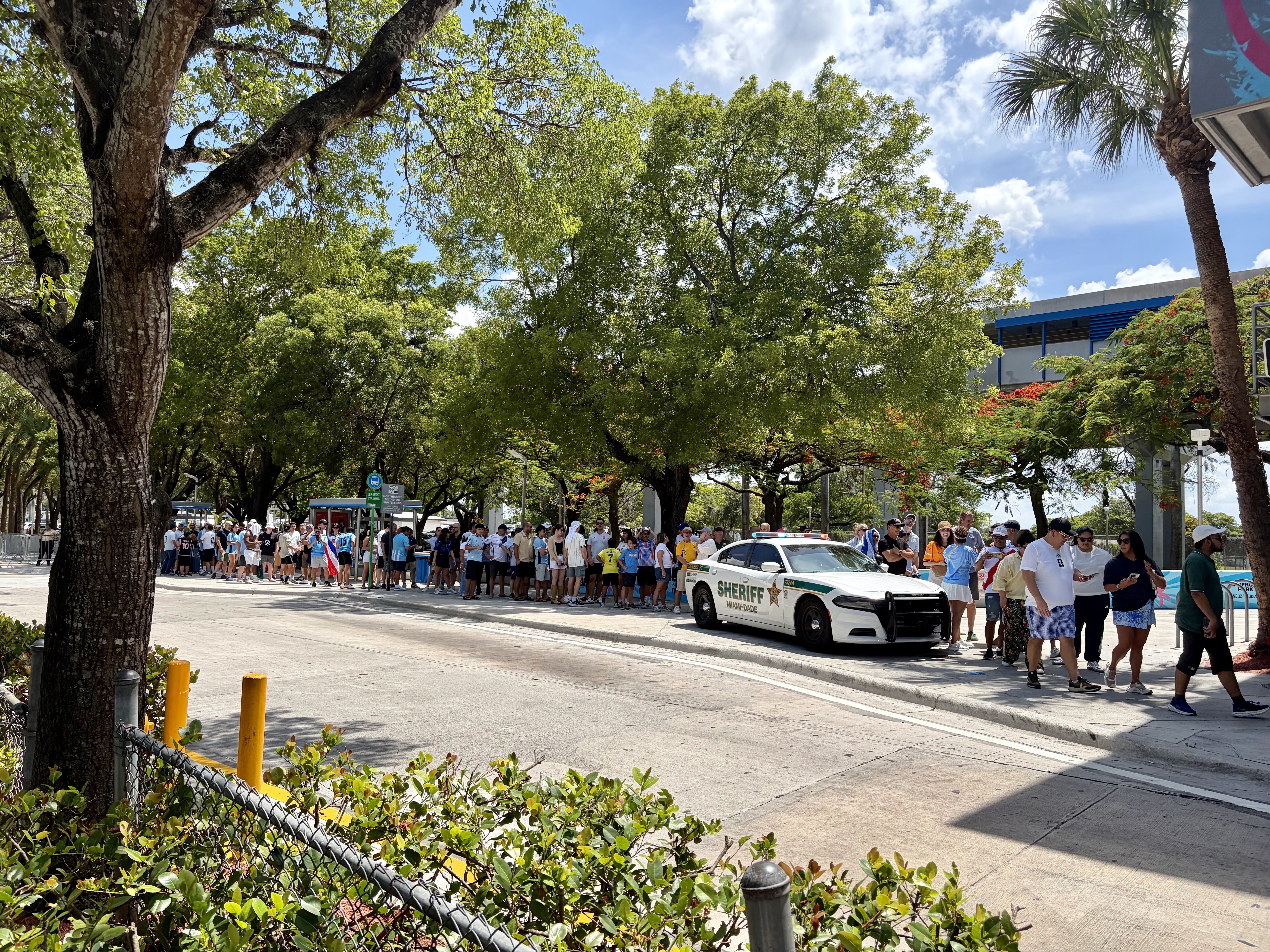Dozens of people form a long queue along a sunny street under dense green trees.