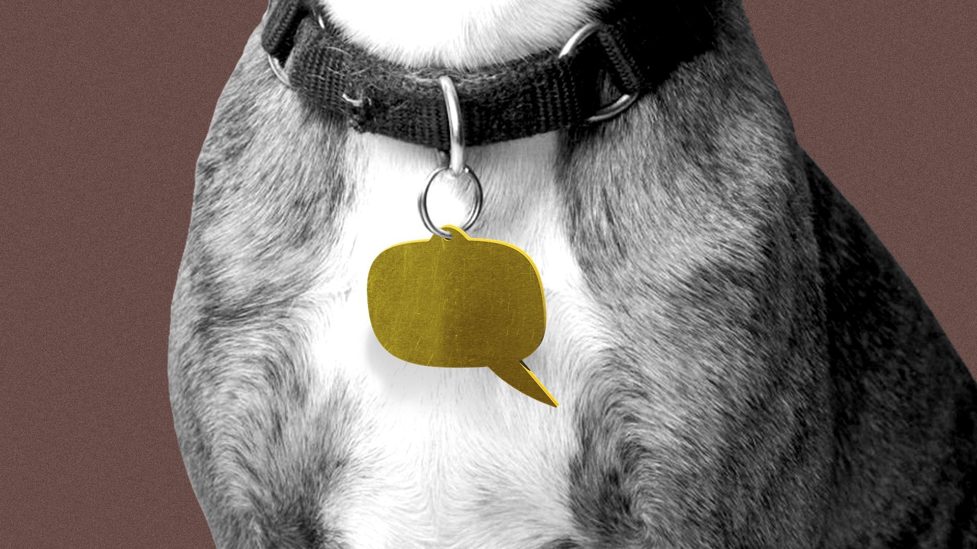 Illustration of a dog wearing a collar with a metal pendant in the shape of a word balloon.