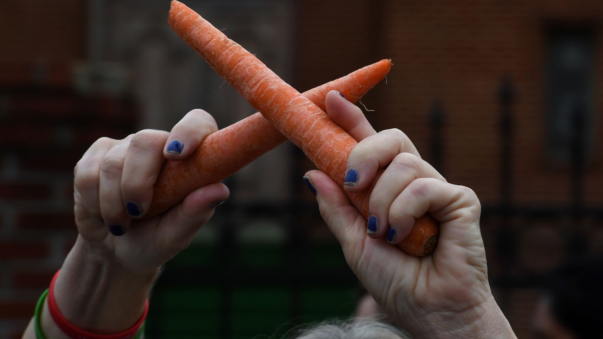 A close-up photo of two carrot sticks used by a protestor to demonstrate against lack of food options in D.C.'s poorest ward