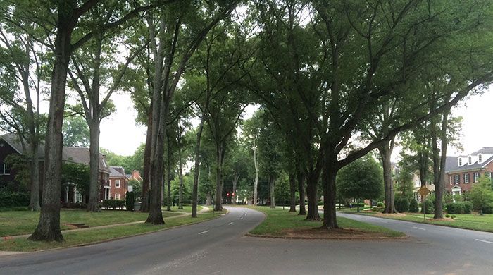 booty-loop-charlotte-nc