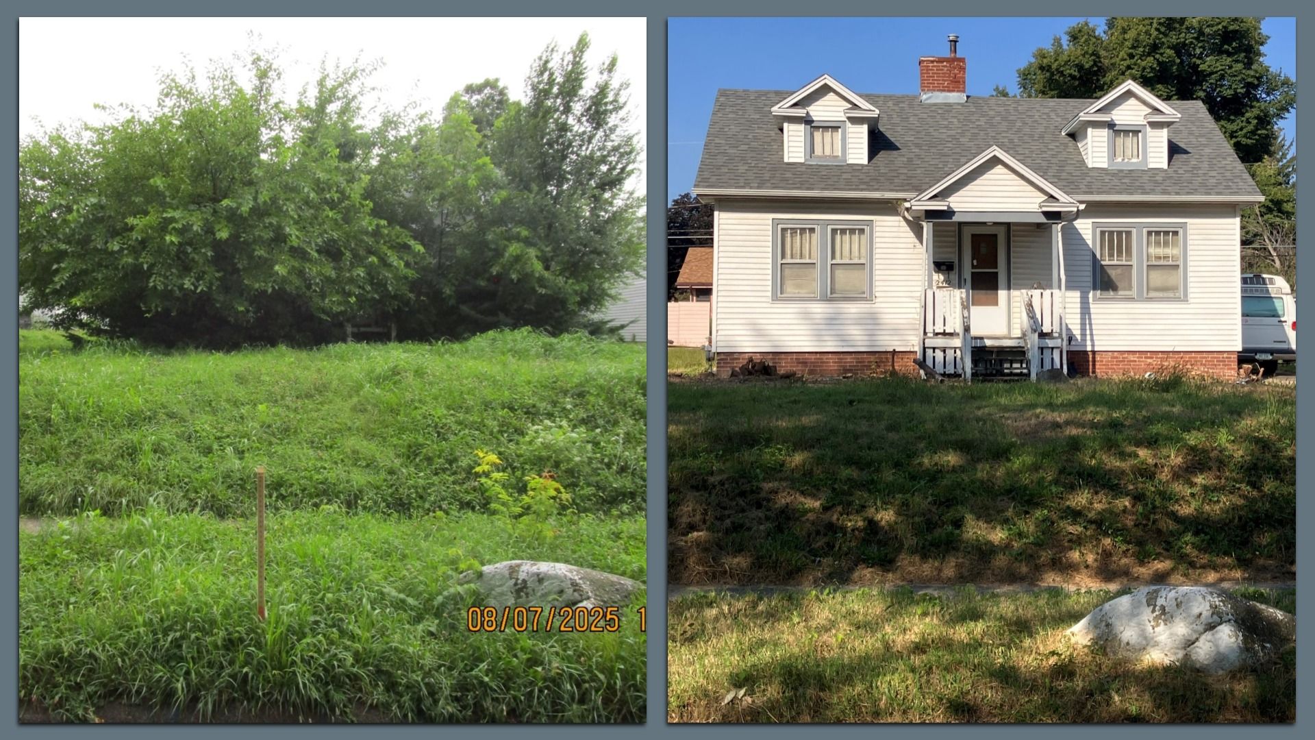 A photo of tall grass.