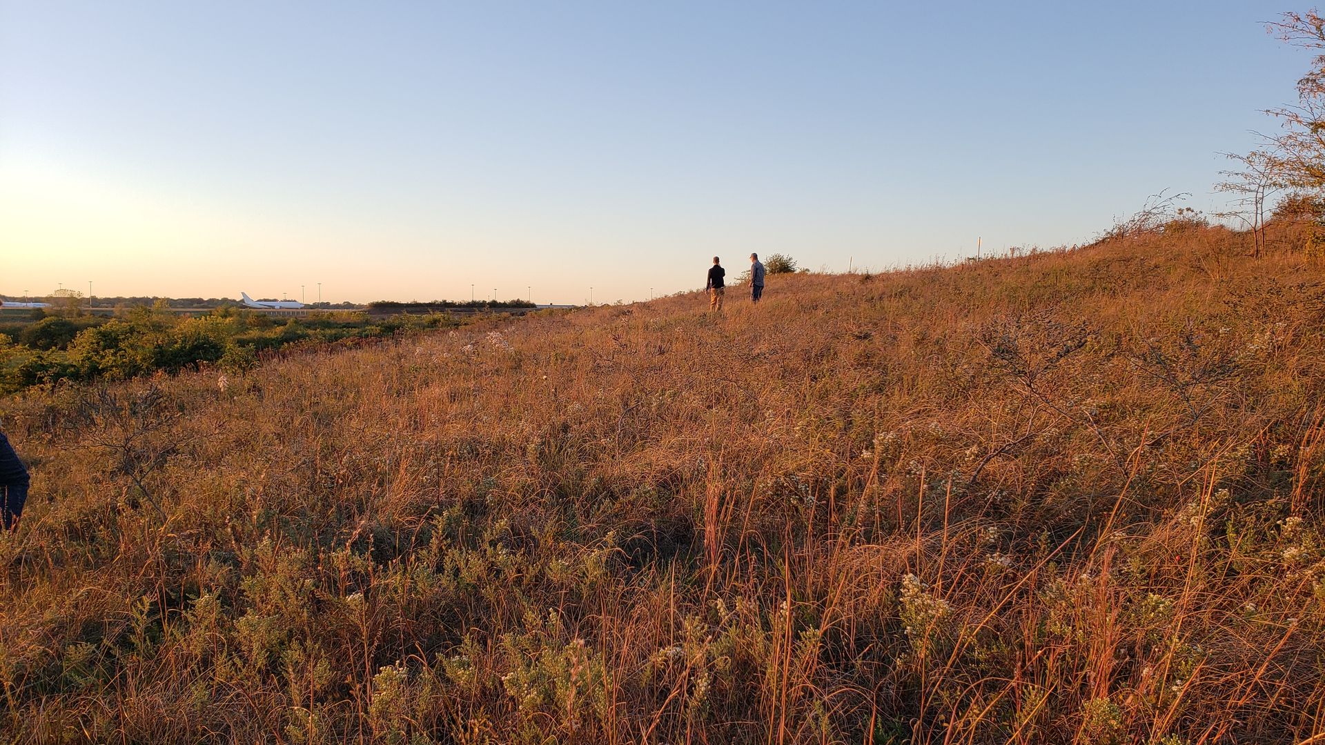 Photo: Joni Denker. Courtesy of the Natural Land Institute.