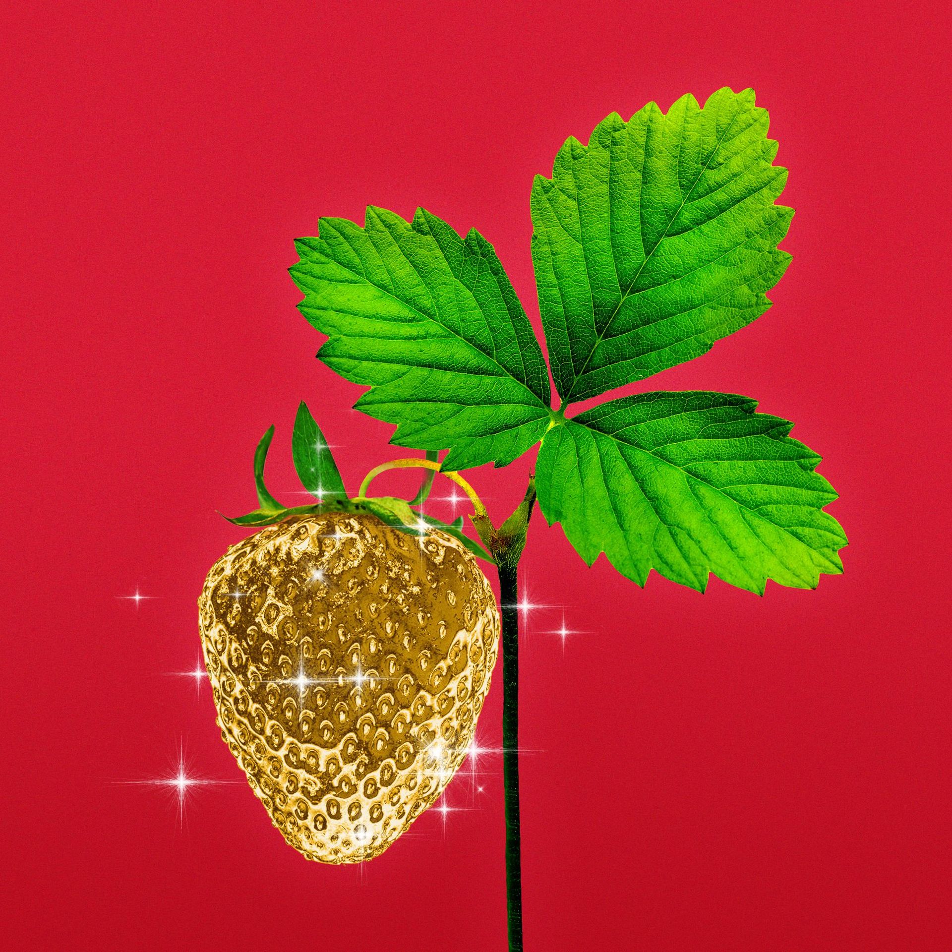 Illustration of a golden strawberry.