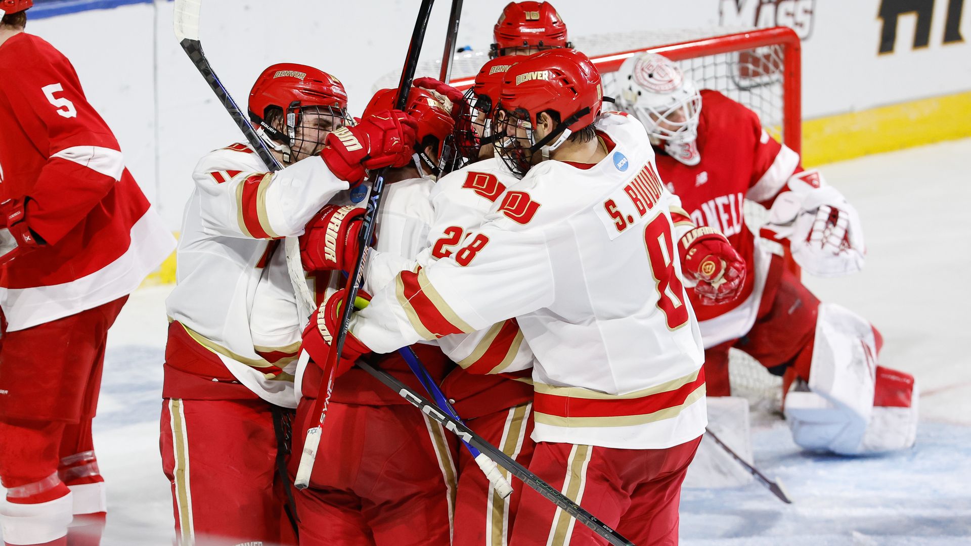 The Denver Pioneers celebrate a goal against the Cornell Big Red during the regional championship final on March 30. Photo: Richard T Gagnon/Getty Images