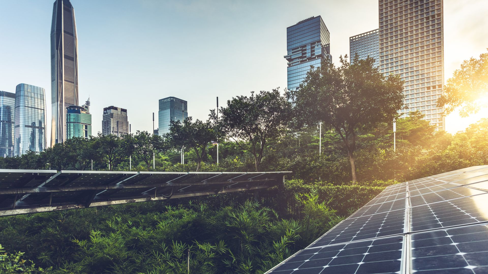 Solar panels lie in the foreground with skyscrapers behind them