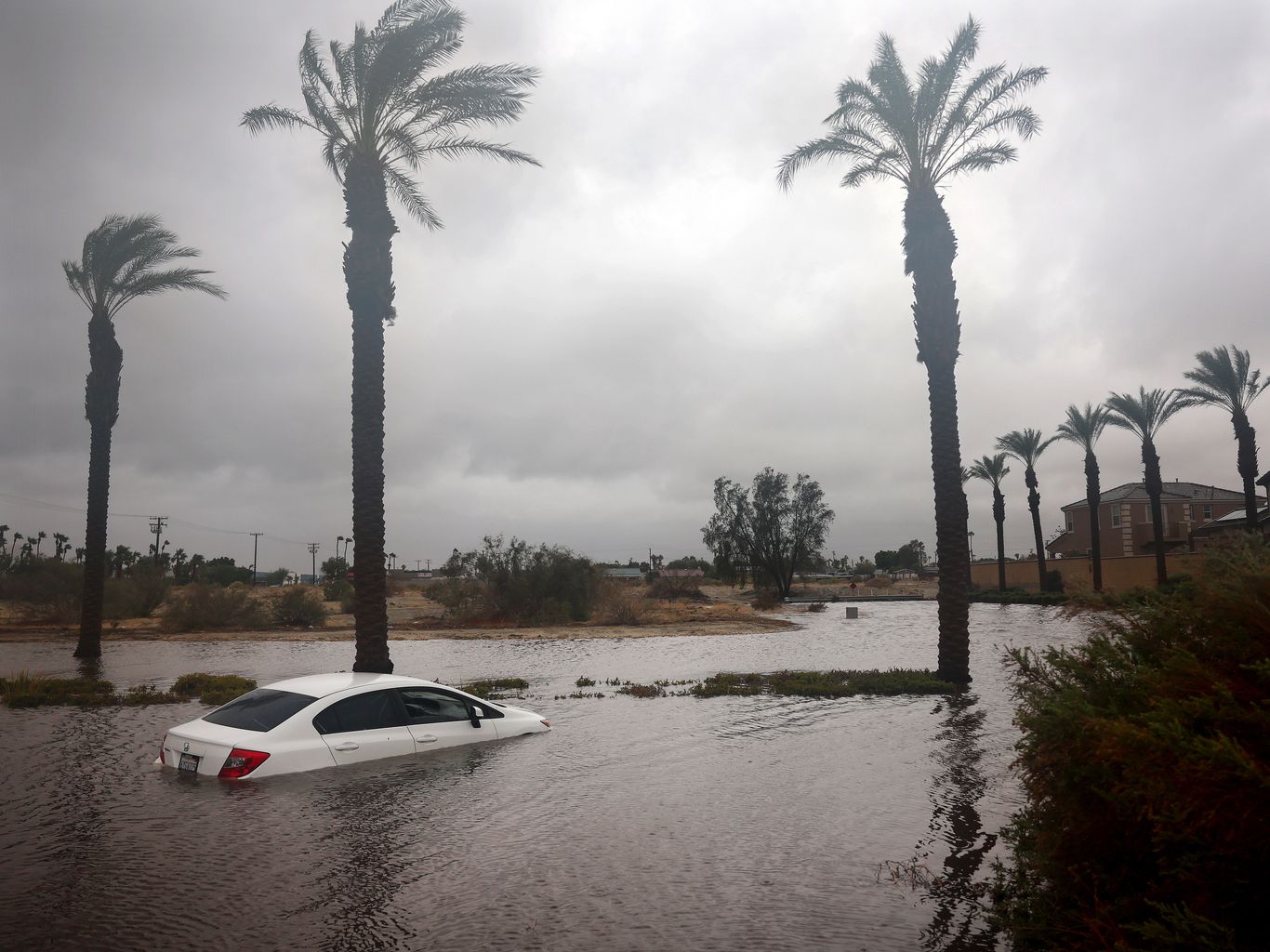 FLOOD - Announcing FLOOD 12: The Los Angeles Issue with David