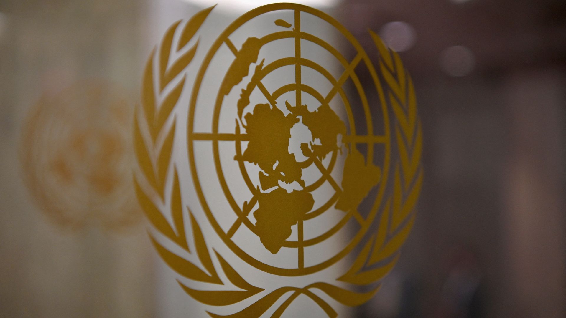 Picture of the United Nations logo