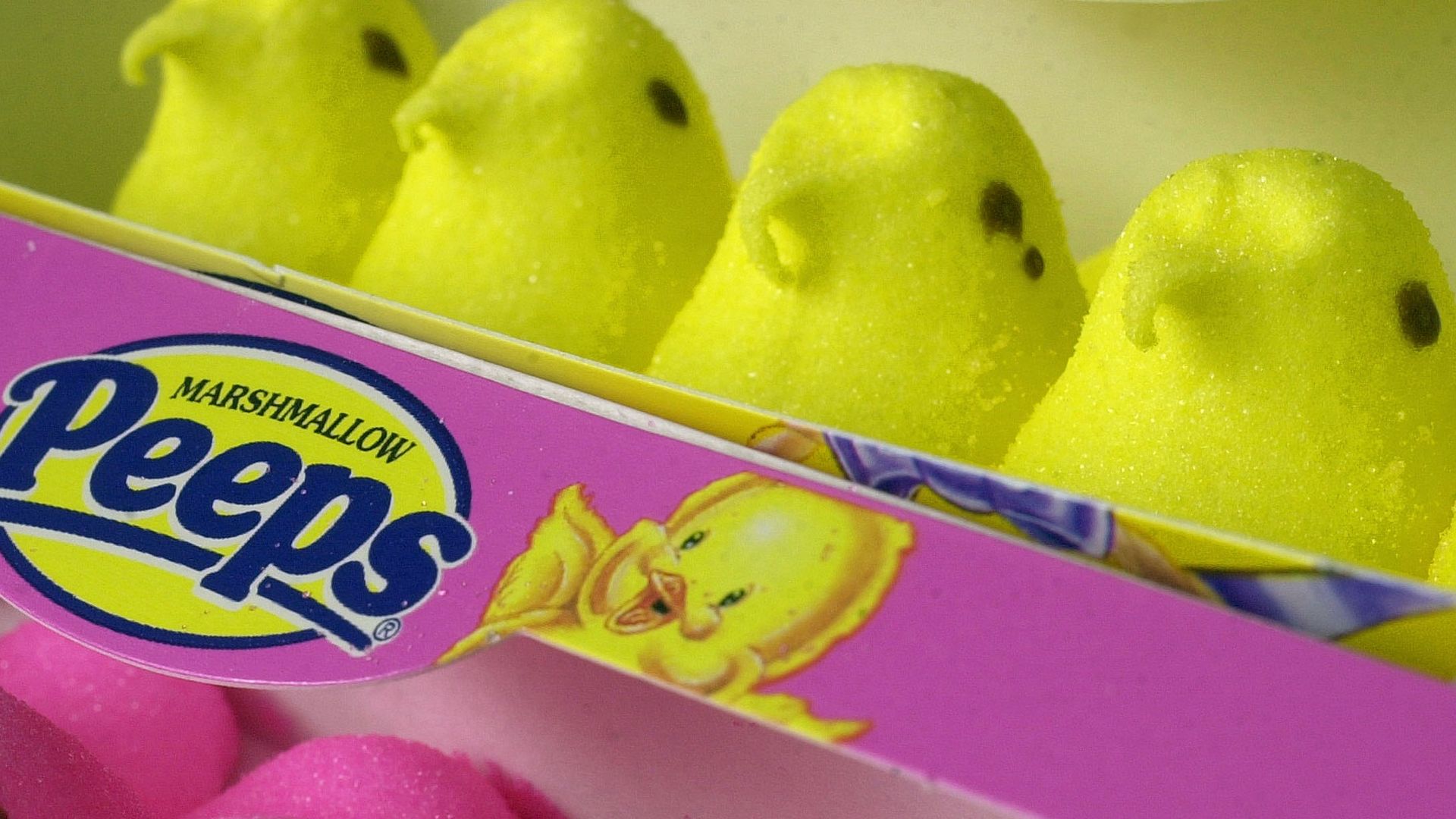 Pink and yellow Marshmallow Peeps are seen April 18, 2003 in Warminster, Pennsylvania.