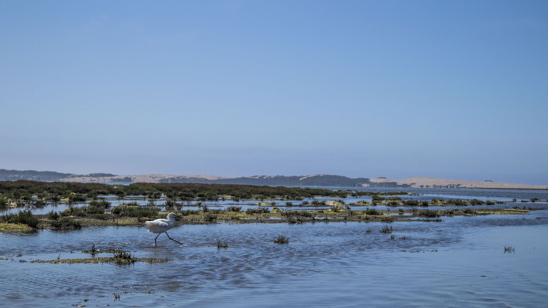 Morro Bay