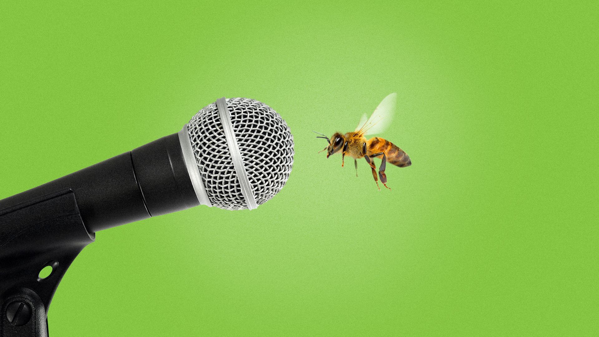 Illustration of a bee beside a microphone.