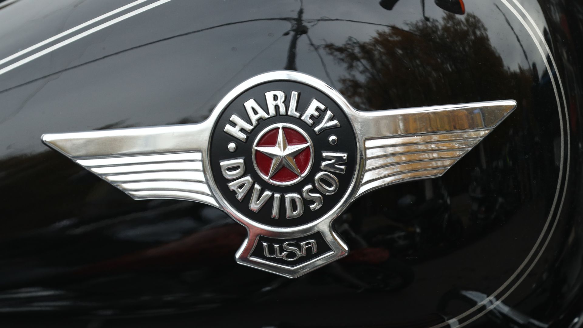 Front end of a harley davidson bike.