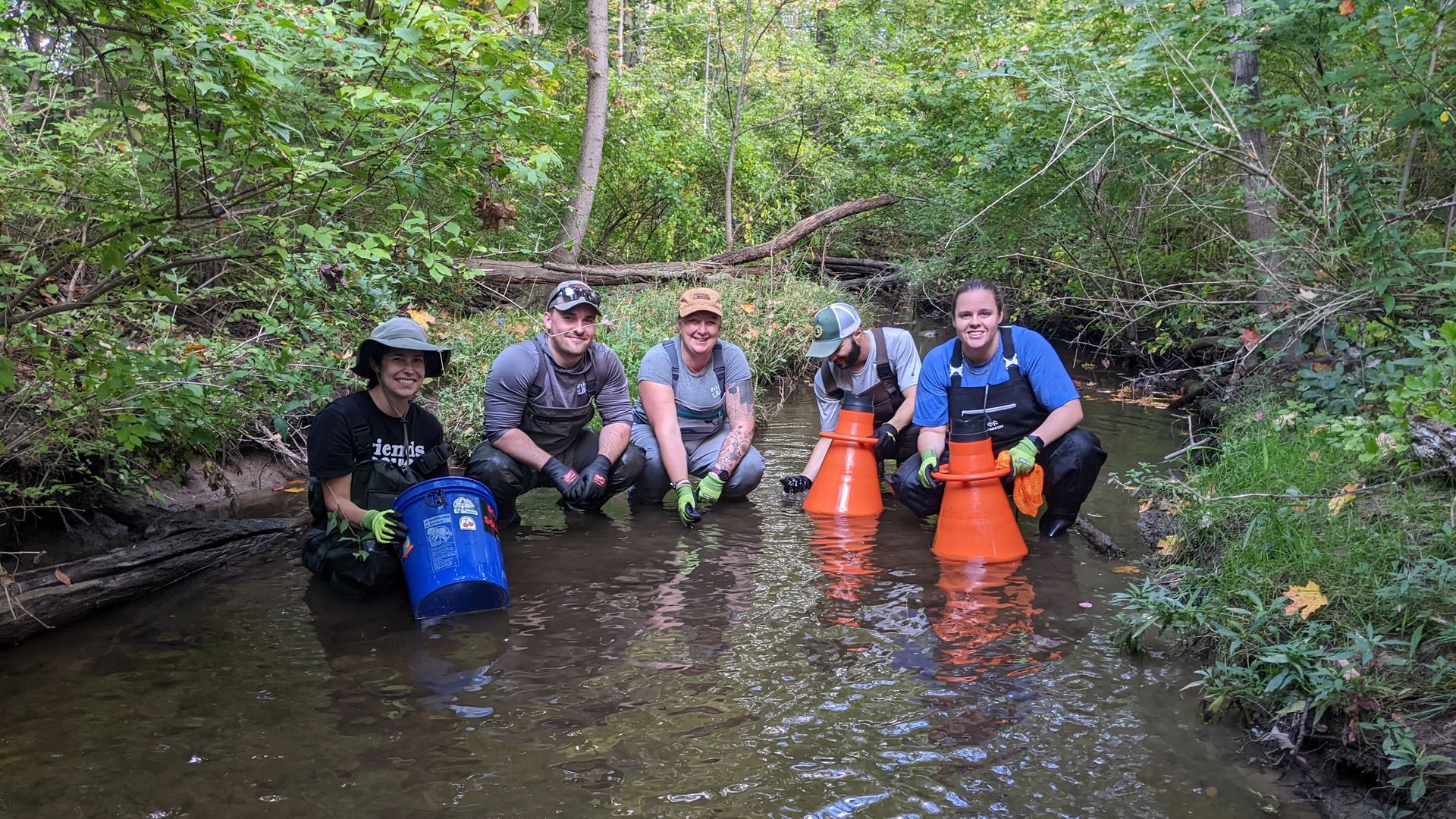 Friends of the Rouge search for mussels. 