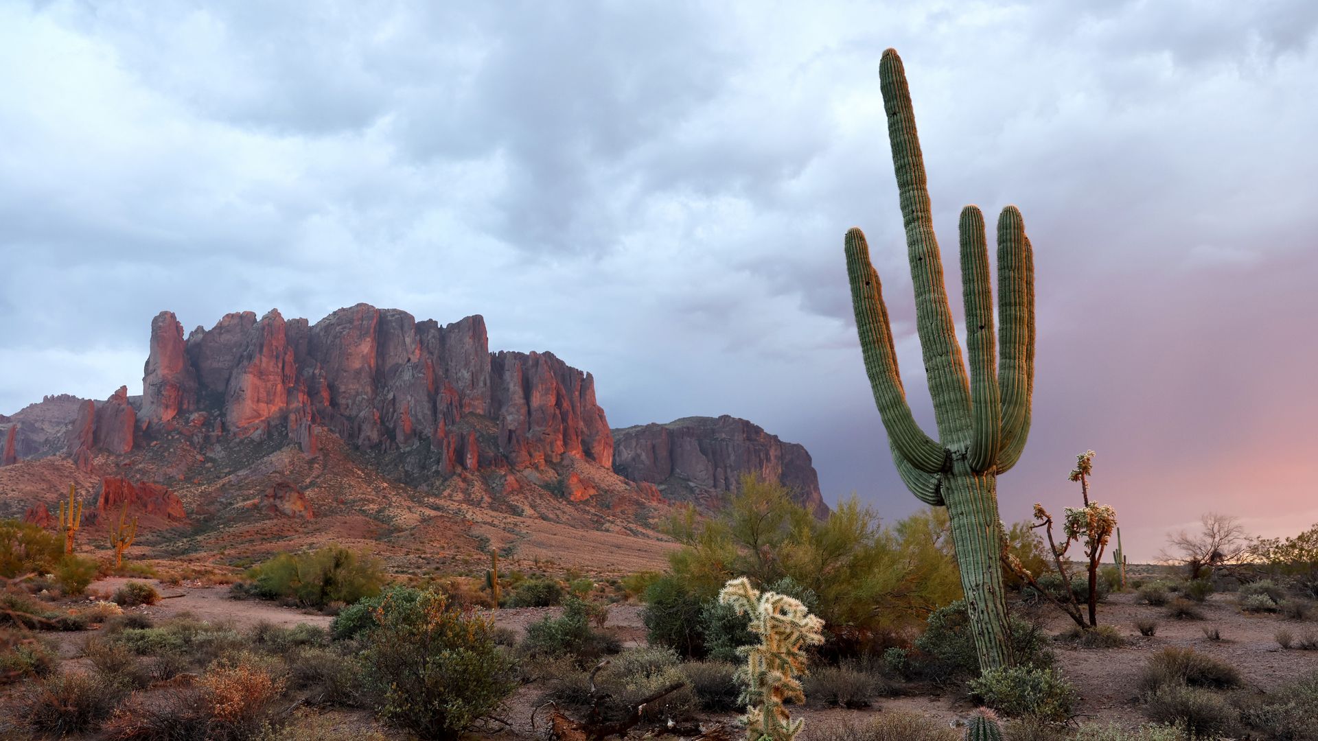 Desert landscape with a saguaro cactus and other desert plants in the foreground, mountains in the background and a cloudy sky above.