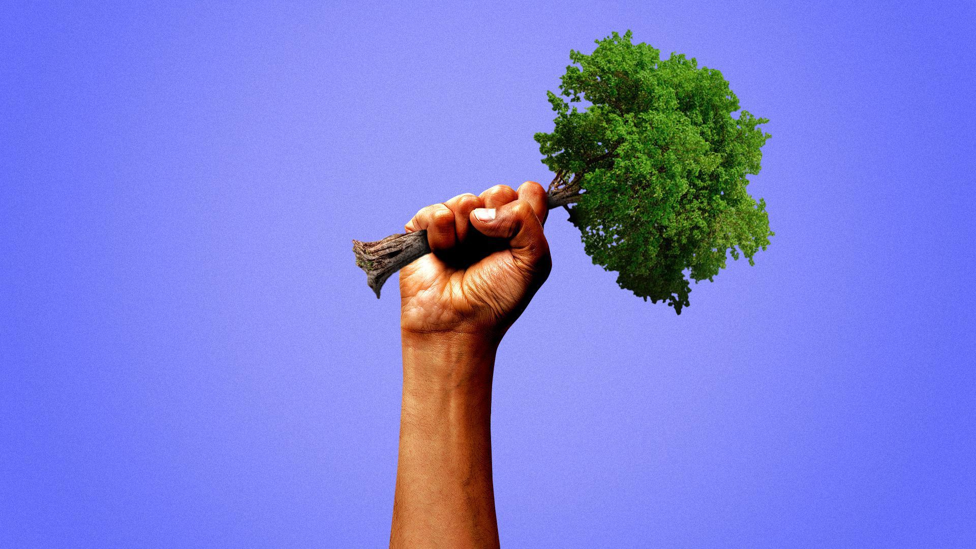 Illustration of someone holding a tree.