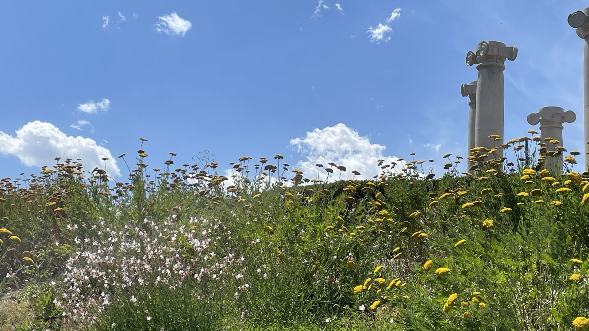 Scrolled pillars stand in a field of flowers with blue sky in the background.