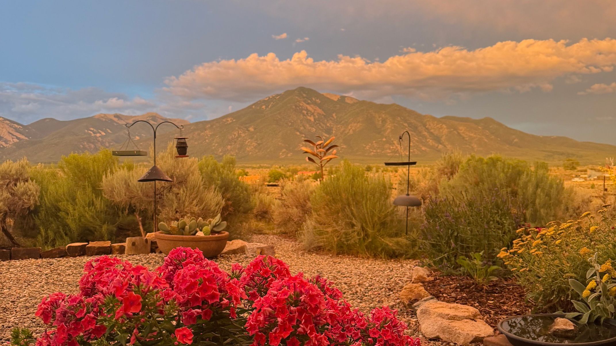 Desert garden at sunset with bright pink flowers in the foreground, gravel ground, potted succulents, and decorative bird feeders on metal stands. Mountain range and orange-tinged clouds glow in the background.