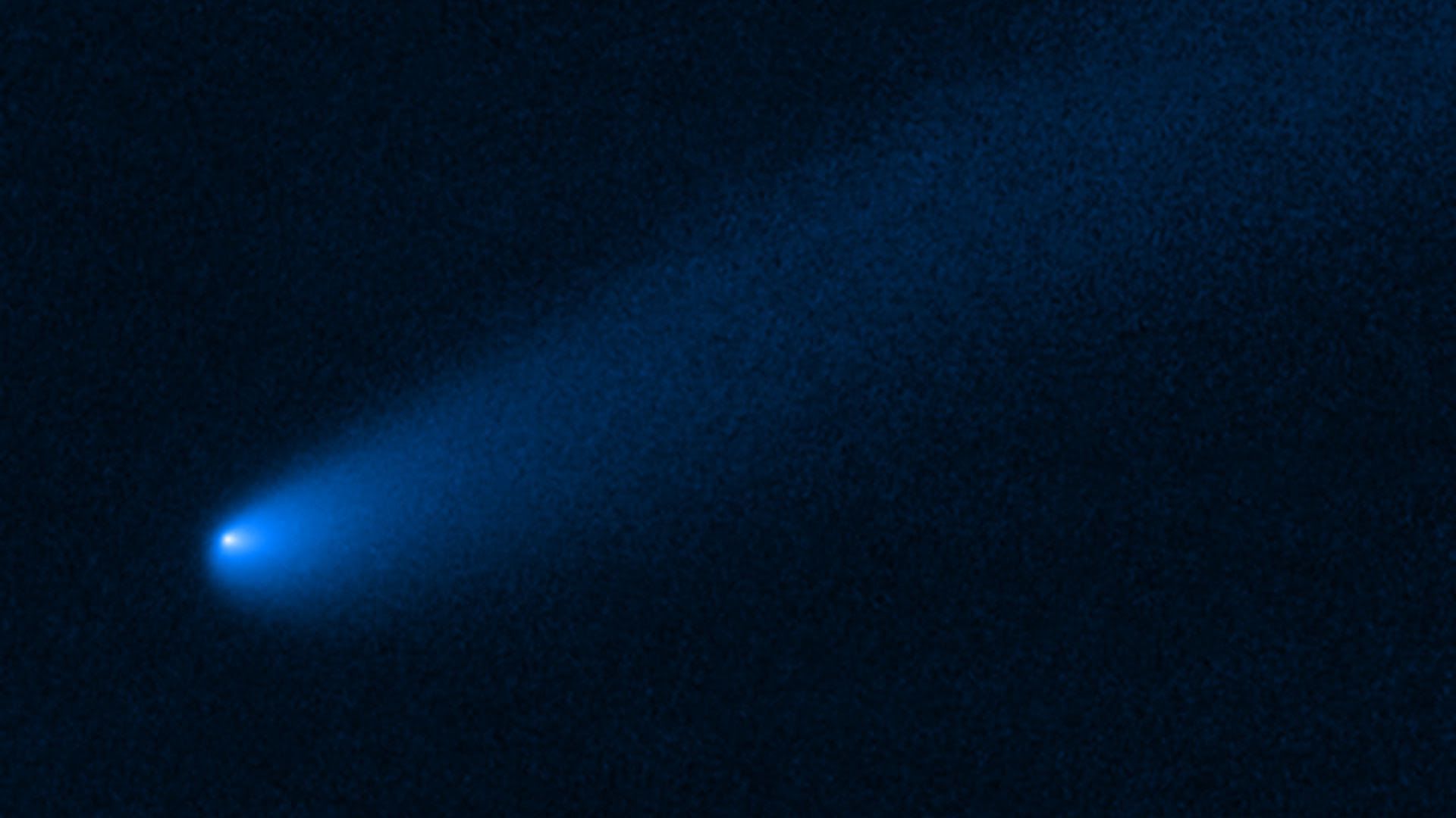 The comet as seen by the Hubble Space Telescope. Photo: NASA/ESA/ B. Bolin