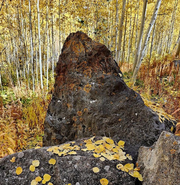 Gore Creek in East Vail, Oct. 1. Photo courtesy of Francine Mathews