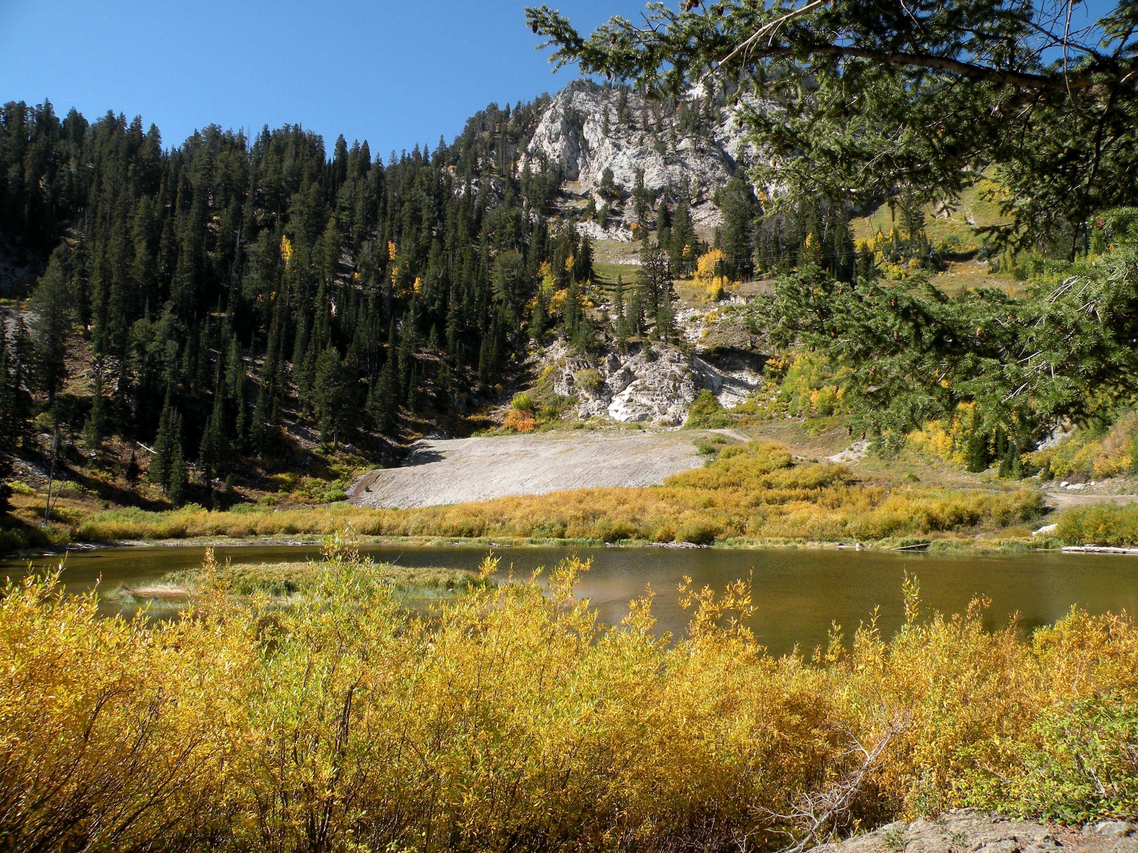 A lake with cliffs and gold autumn leaves.