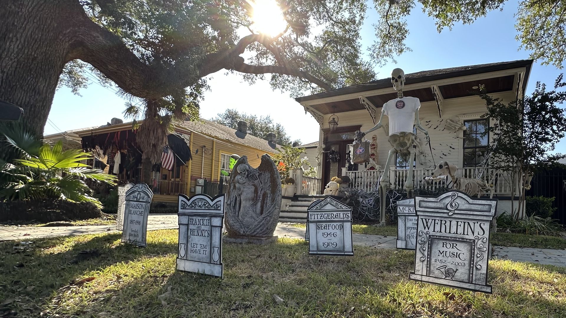 Front yard Halloween display with gravestones, a skeleton wearing a white shirt, a dog skeleton, and a stone angel statue, under a large tree with sunlight shining through branches.