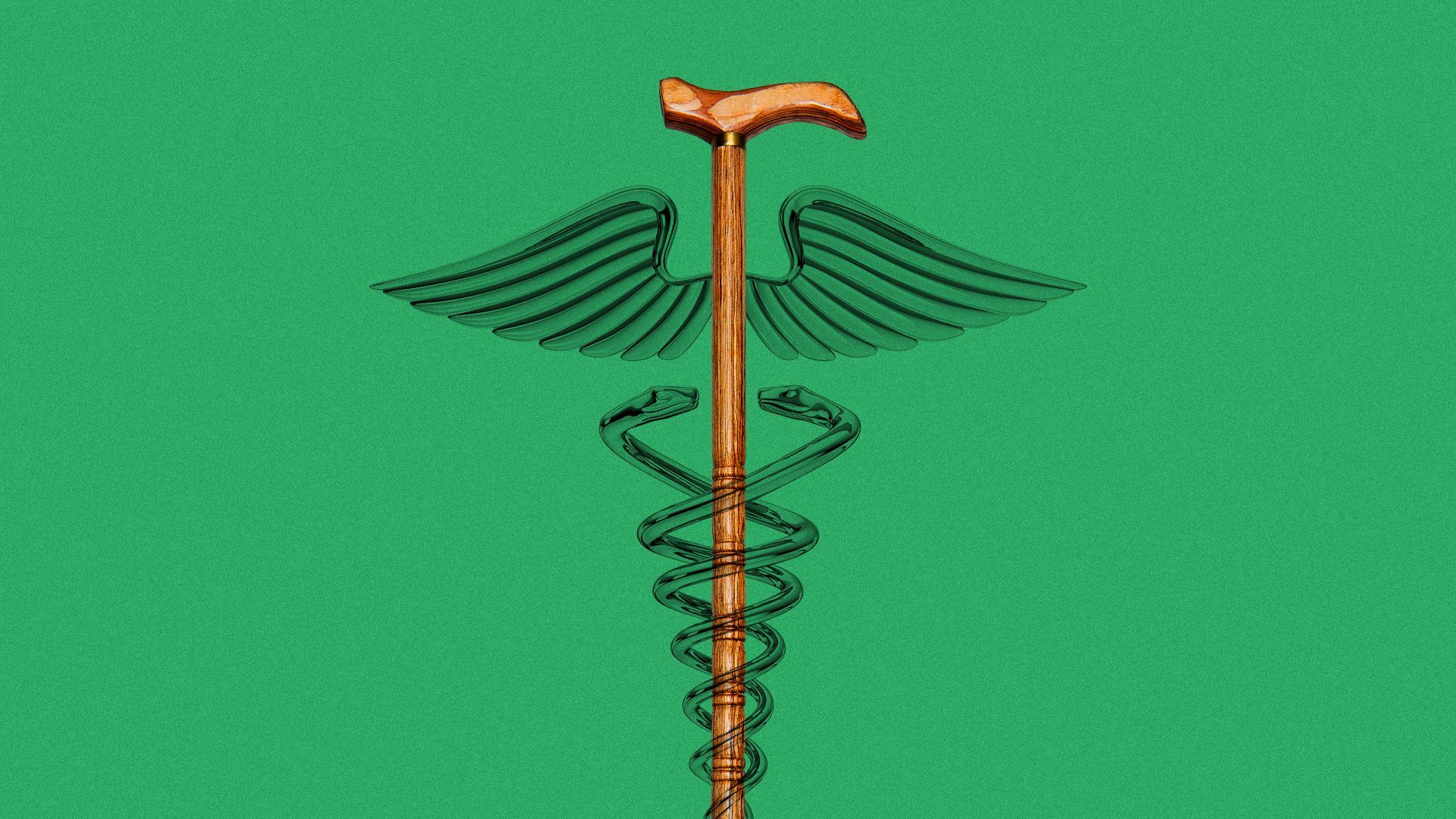 Illustration of a cane forming the center staff of a caduceus.