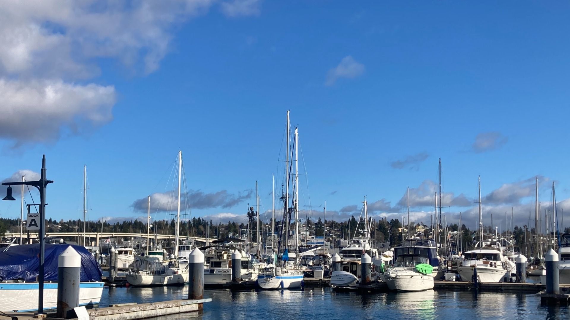 A view of boats at a marina under blue skies. 