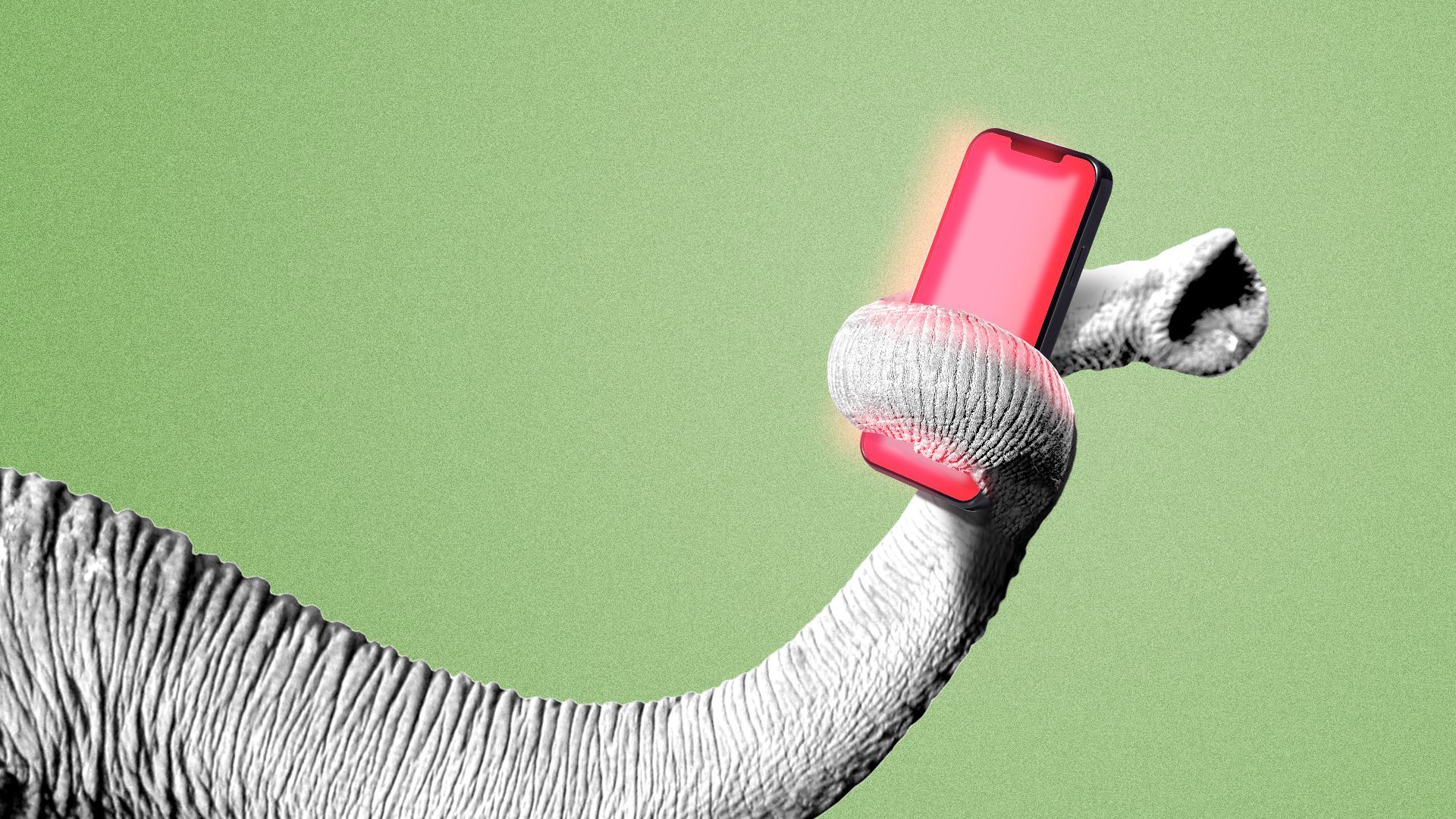 Illustration of an elephant trunk holding a smartphone glowing red.