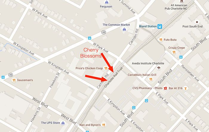 cherry-blossom-map-charlotte