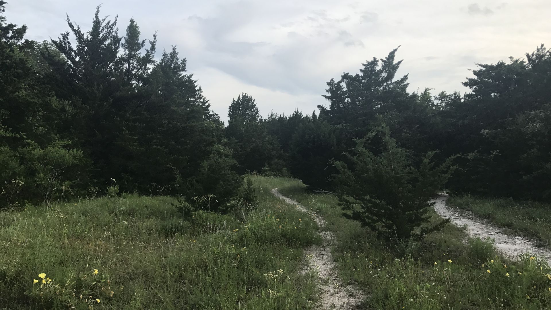 Two trails at a nature preserve