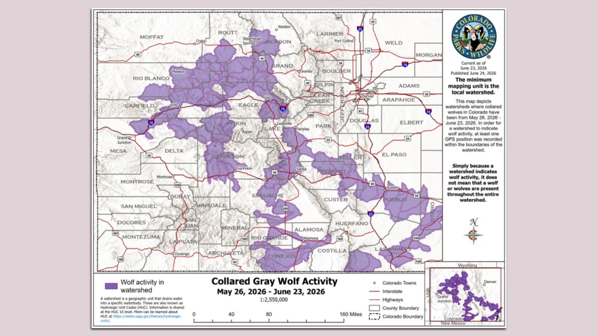 Colorado map showing purple shaded wolf activity by watershed (May 26–June 23, 2026). Right panel includes the Colorado Parks & Wildlife logo and legend.