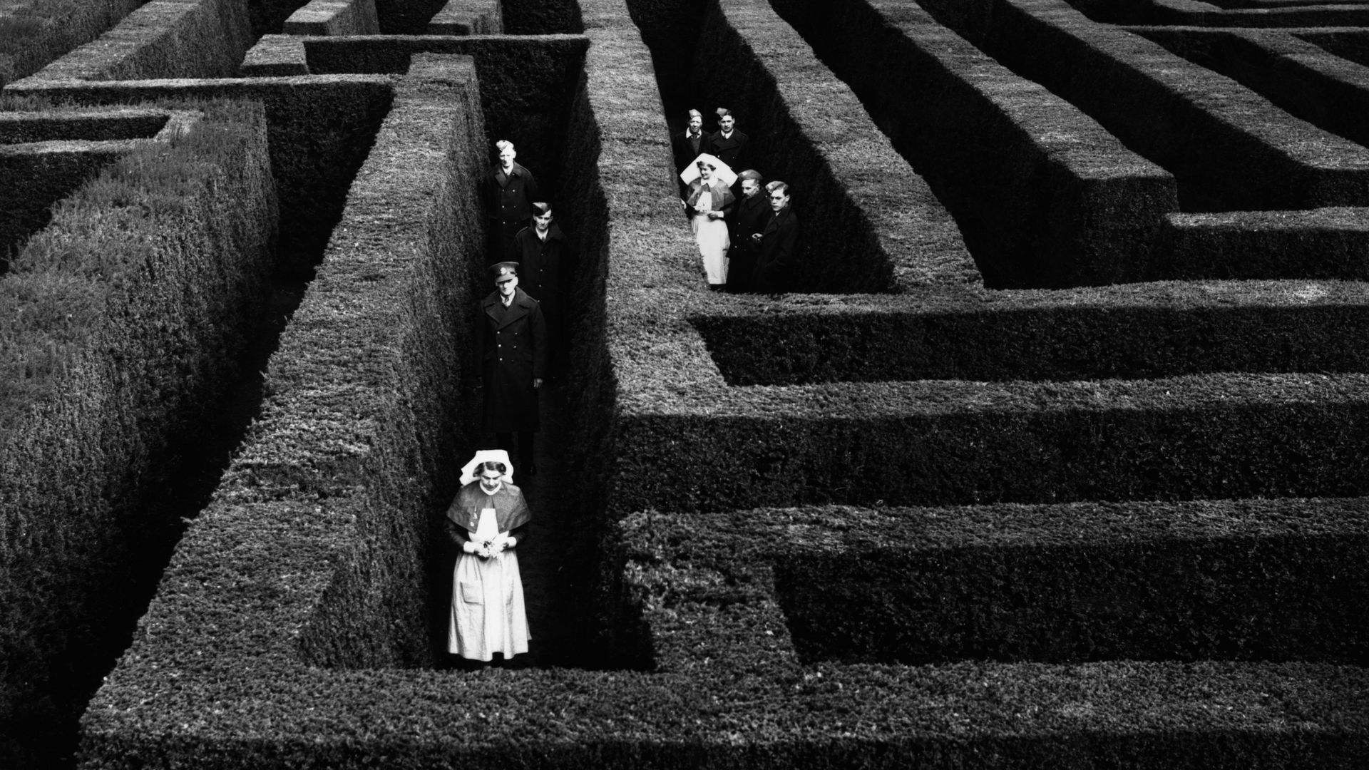 Black and white image of people in a hedge maze