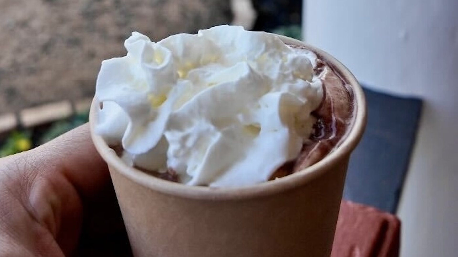 A cup of hot chocolate with whipped cream on top