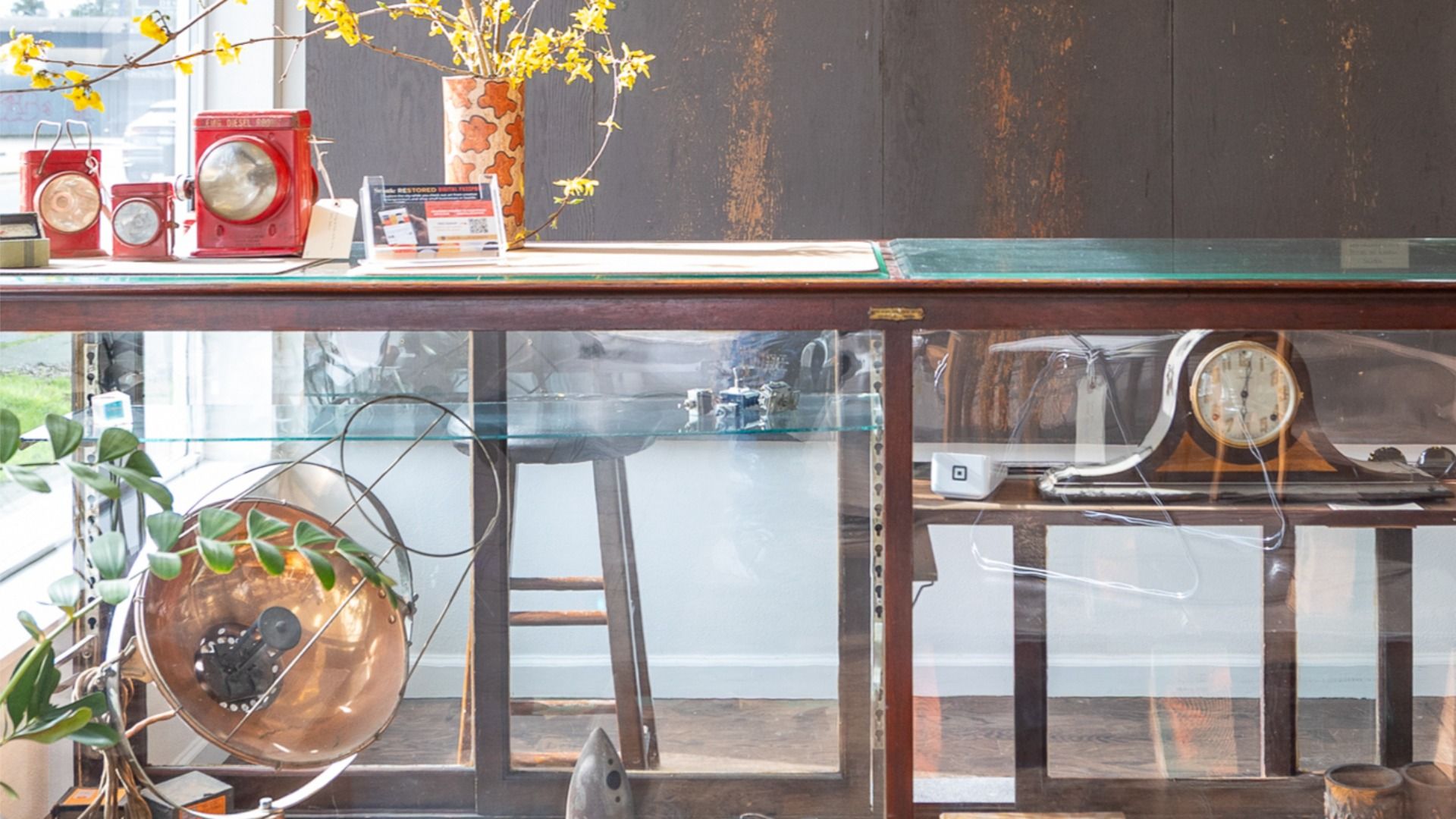 Shop window display: a dark wood cabinet with a glass top; red vintage devices, a tall orange-leaf vase with yellow branches on top; a large round clock inside the case; a potted plant on the left.