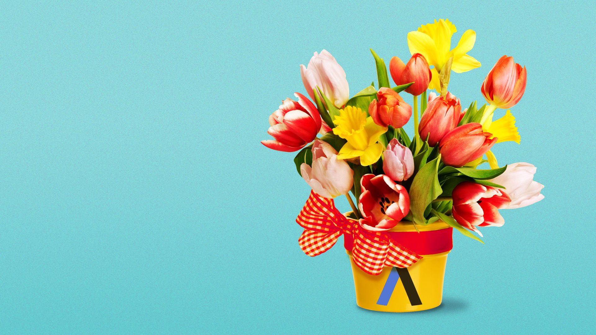 Illustration of a bouquet of tulips with the Axios A on the vase.