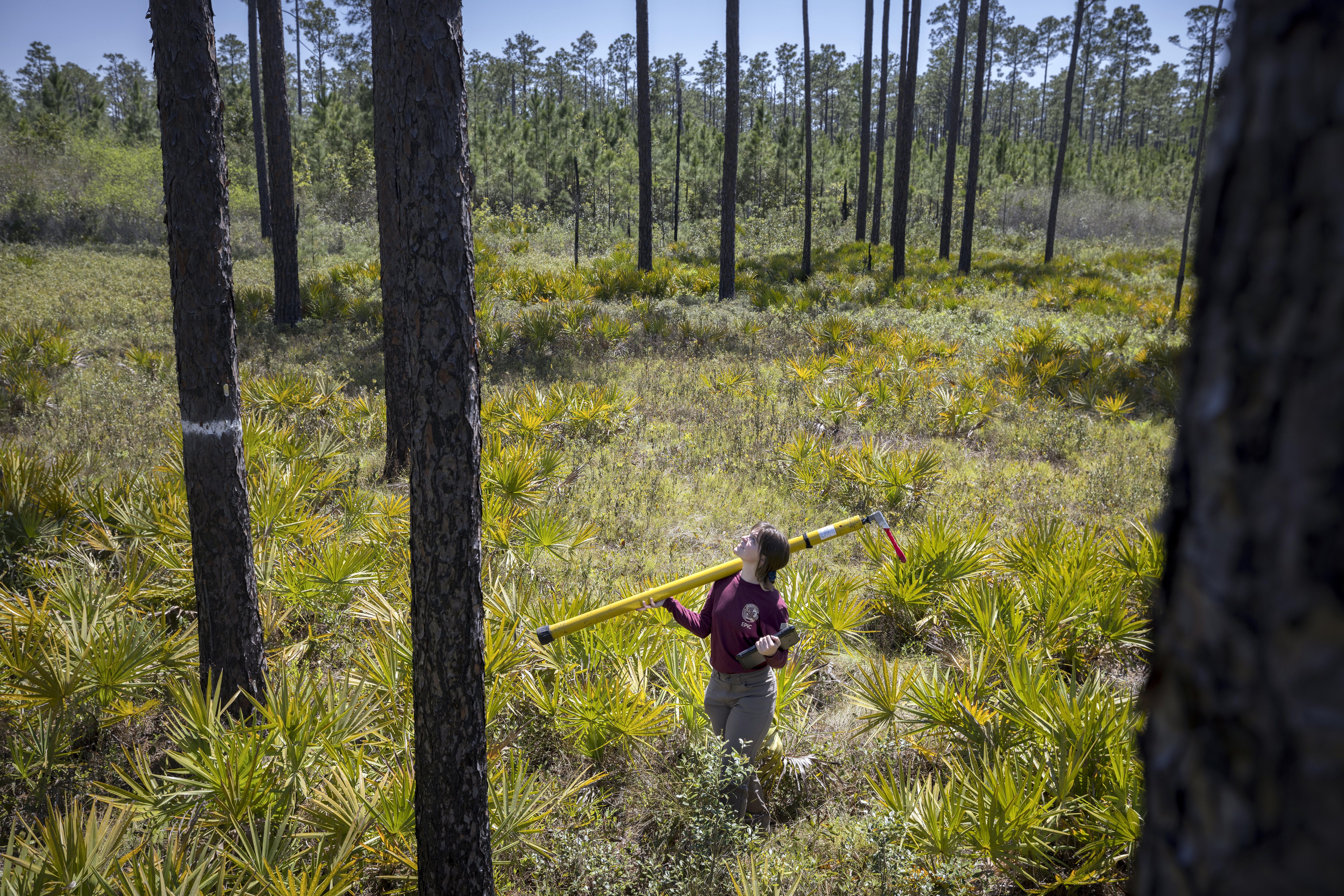 Technician inside Okefenokee