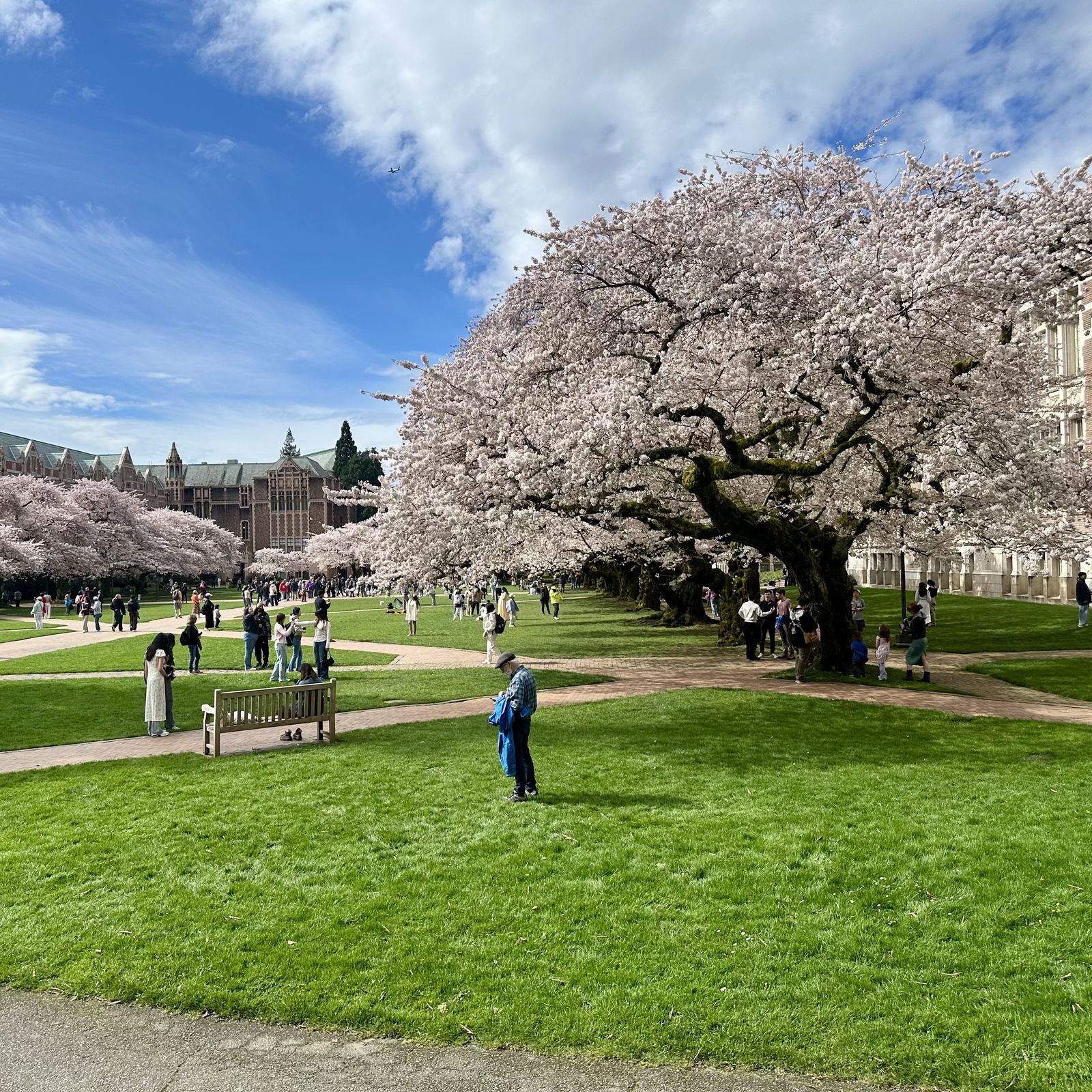 ワシントン大学　ペナント　University of Washington University of Washington rises in U.S. News college rankings
