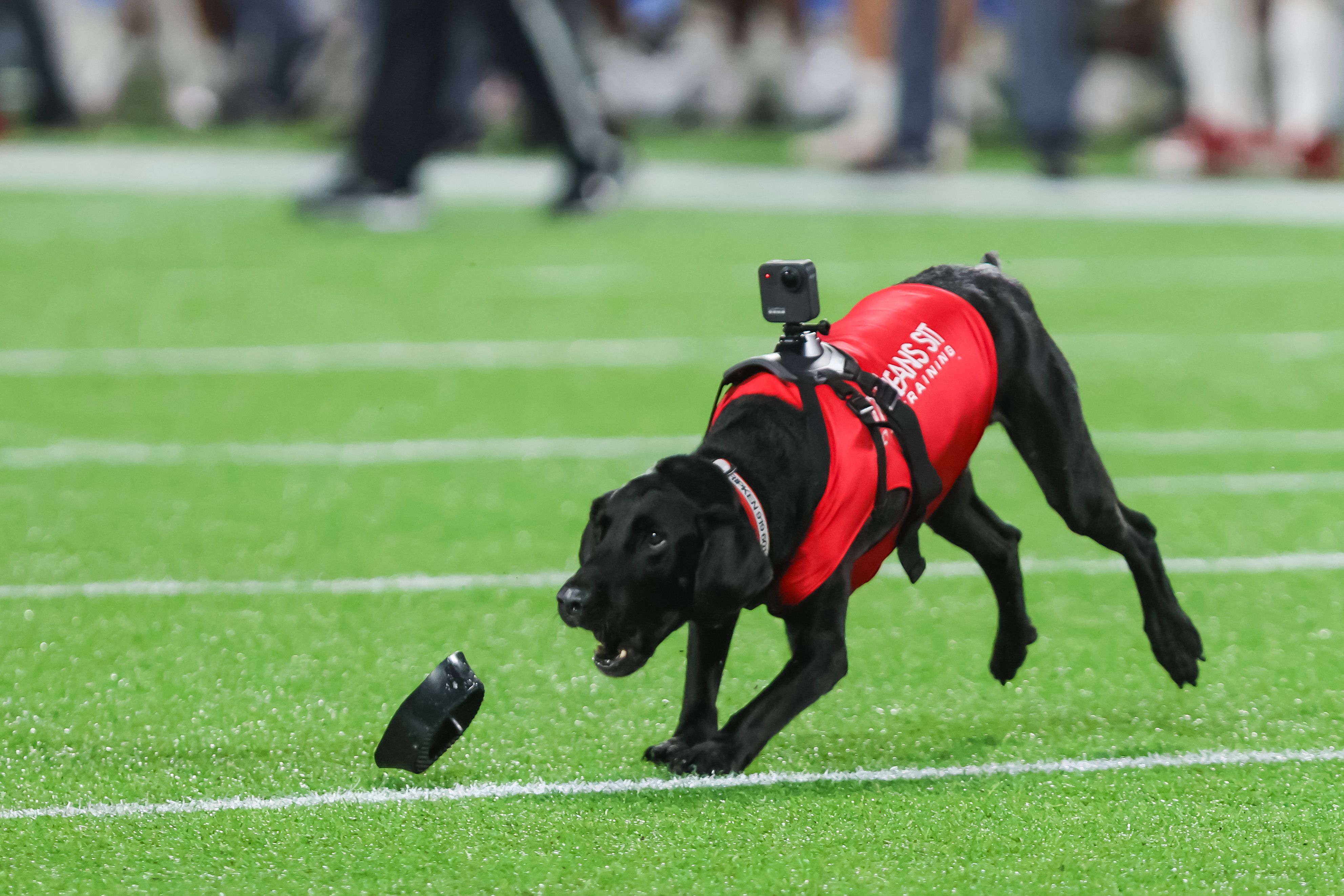 Ripken retrieving a tee at the Pop-Tarts Bowl