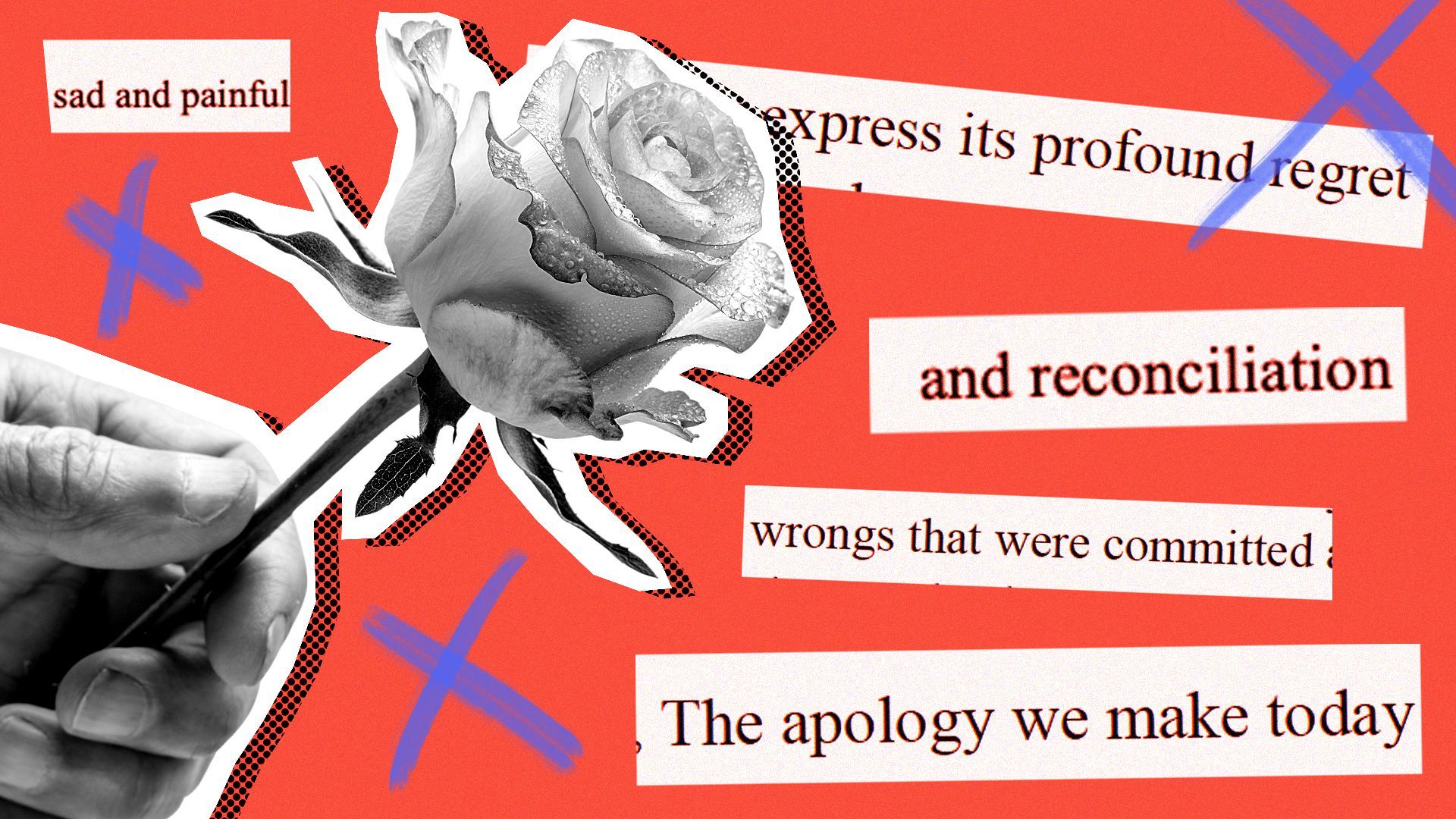 Illustration of a hand holding a rose against tex that reads: "sad and painful", "express its profound regret", "and reconciliation", "wrongs that were committed", and "The apology we make today".