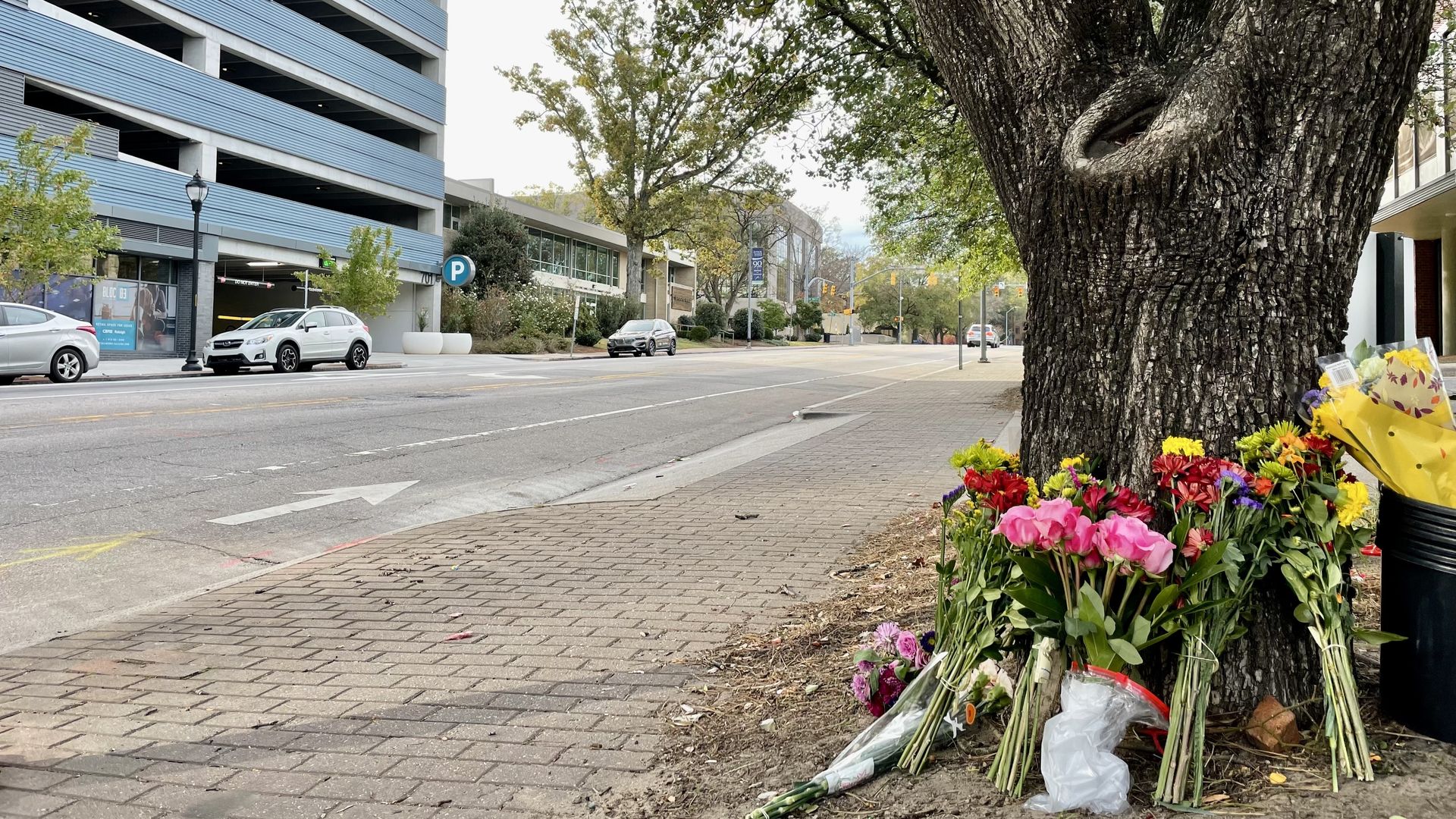 Flowers lean on a tree next to a road in downtown Raleigh.