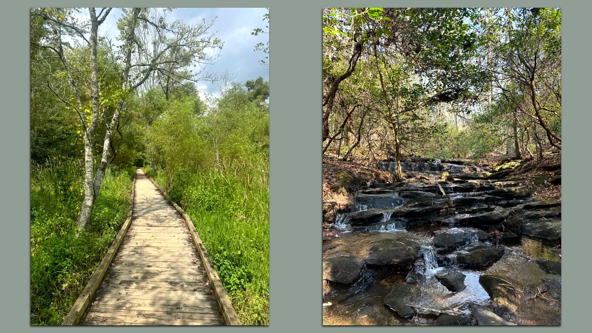 Spring Path Atlanta Best shaded hikes in Atlanta: Top trails for families, couples and solo ...