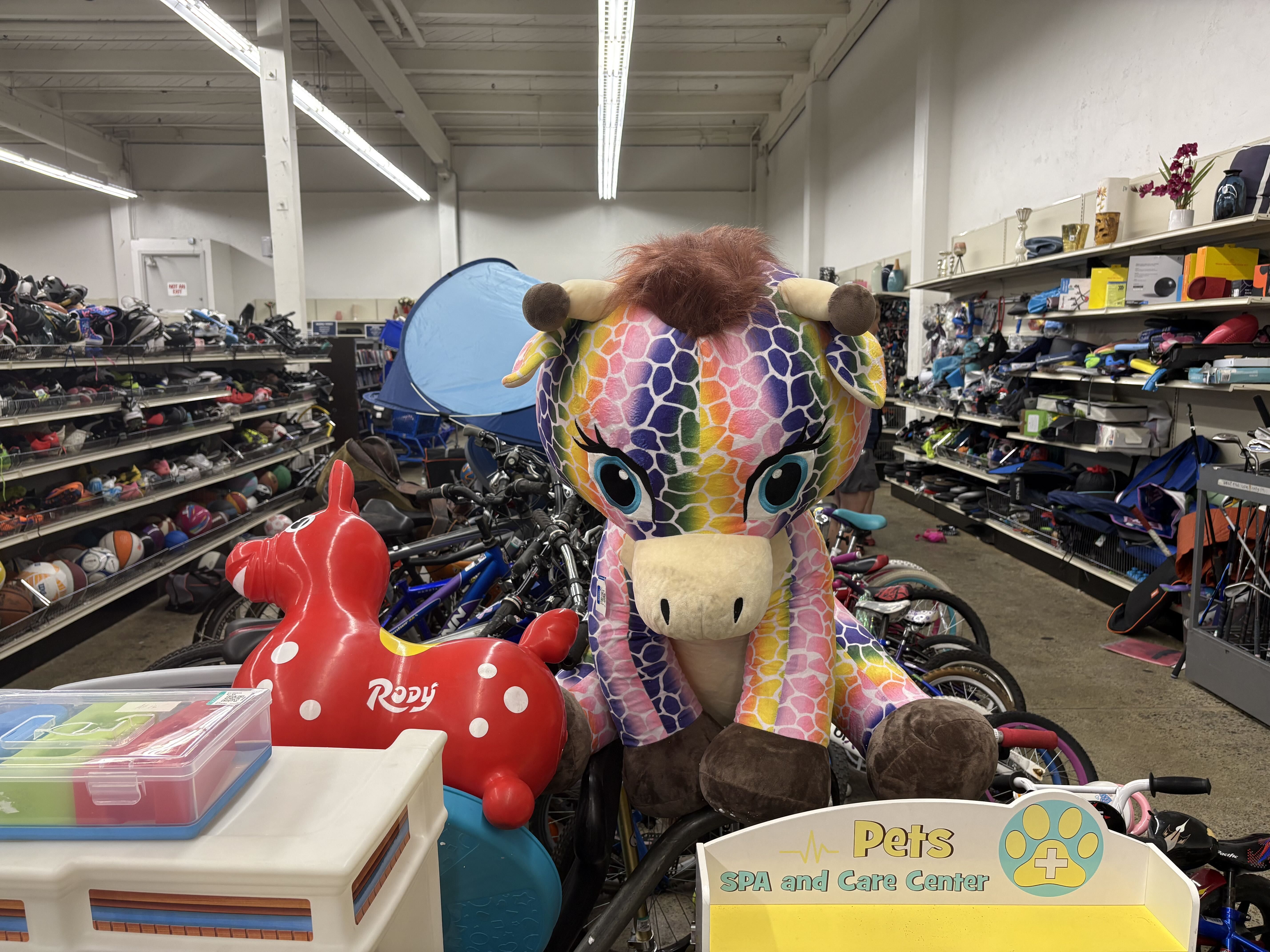 Colorful rainbow dragon mascot head with brown horns stands in a crowded store aisle, surrounded by shelves of shoes and miscellaneous goods; a blue tent and signs for Pets and Spa visible.
