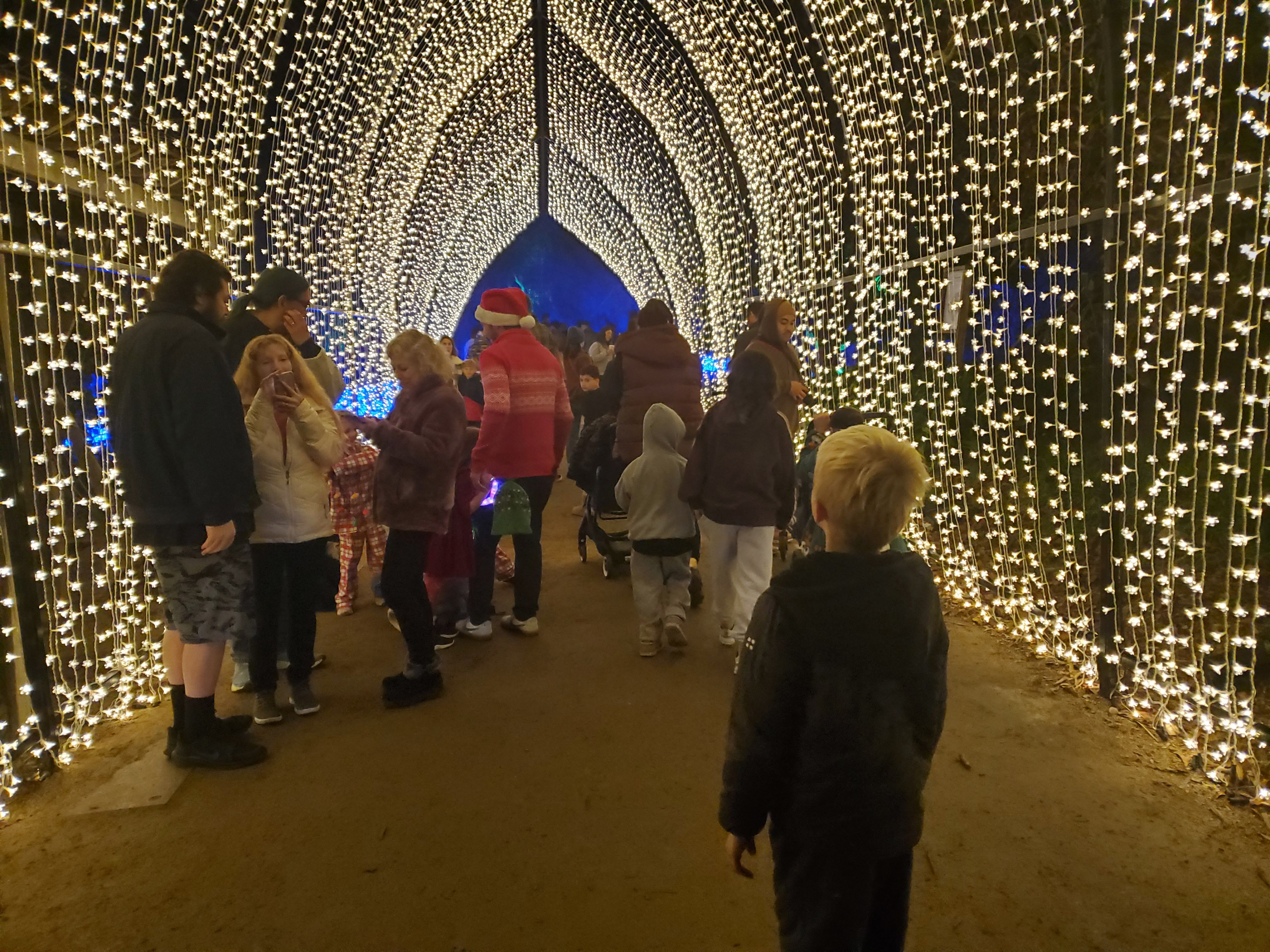 People gather under the archway of lights called The Winter Cathedral