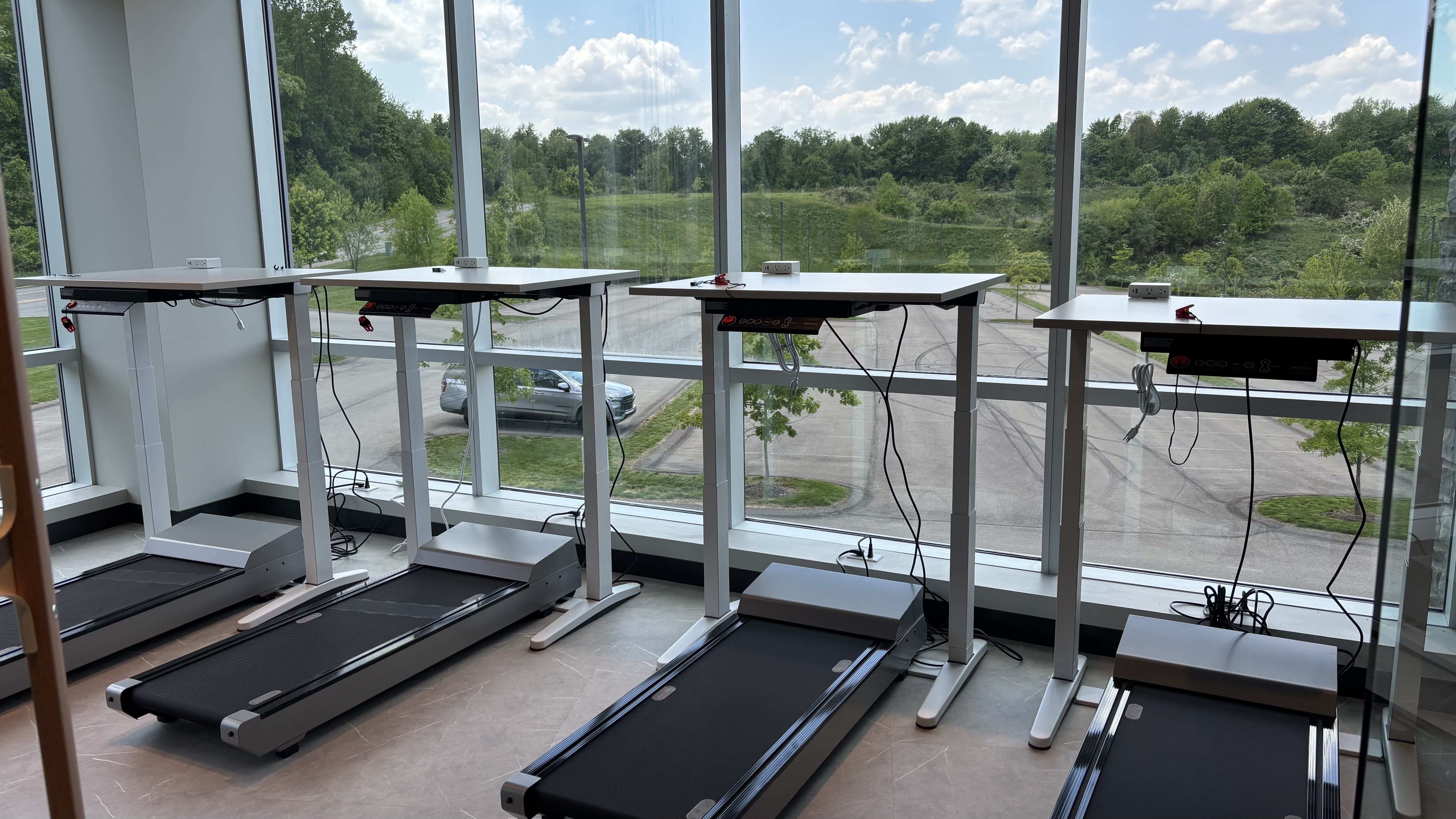Bright room with four treadmills along large floor-to-ceiling windows, offering a view of green trees and a parking lot outside. Cords and power outlets visible under the consoles.