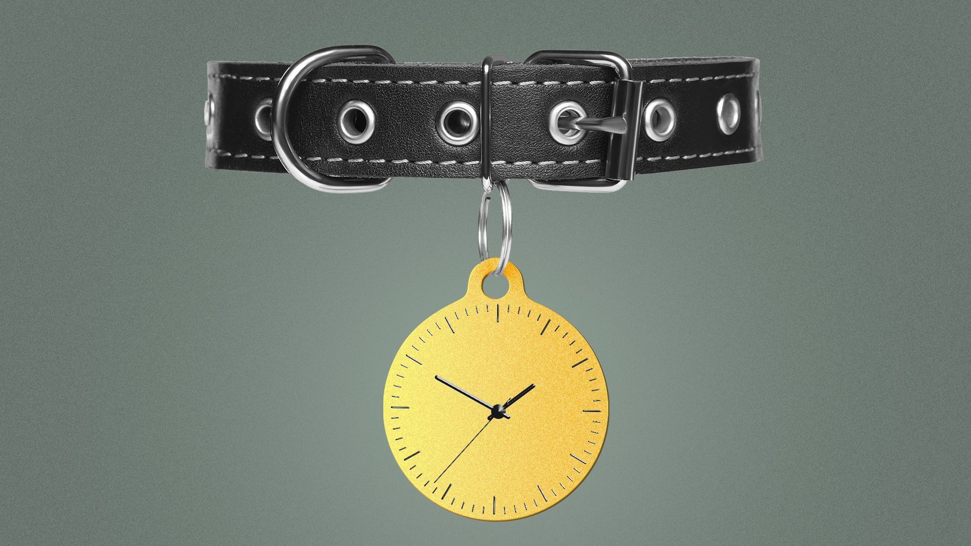 Illustration of a pet collar with the metallic ID stylized as a clock. 
