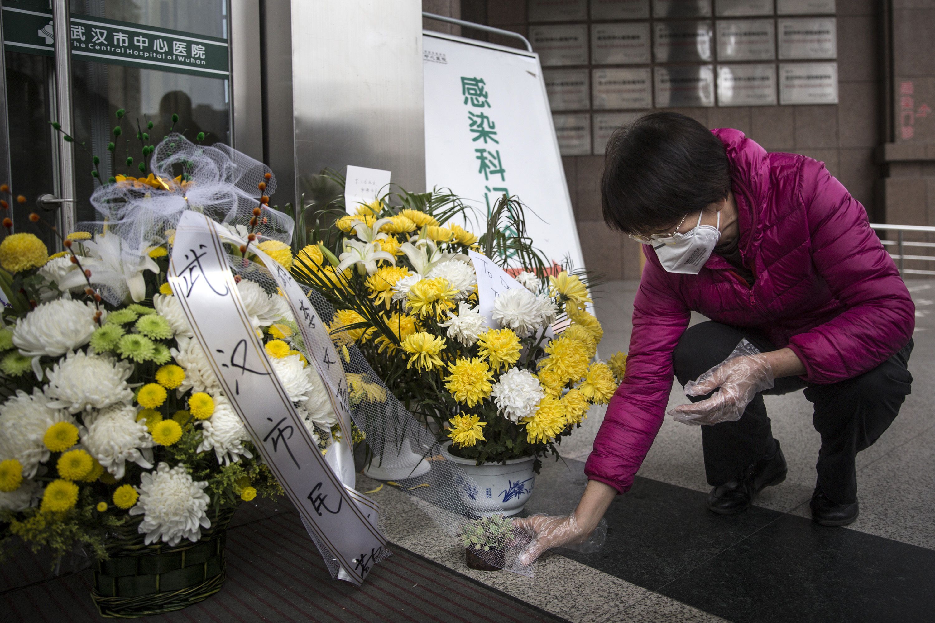 In this image, a person holds a bag while looking at the flowers outside the Wuhan hospital 