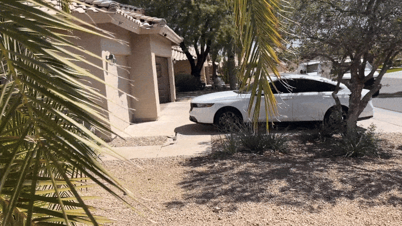 A gif of a roadrunner.