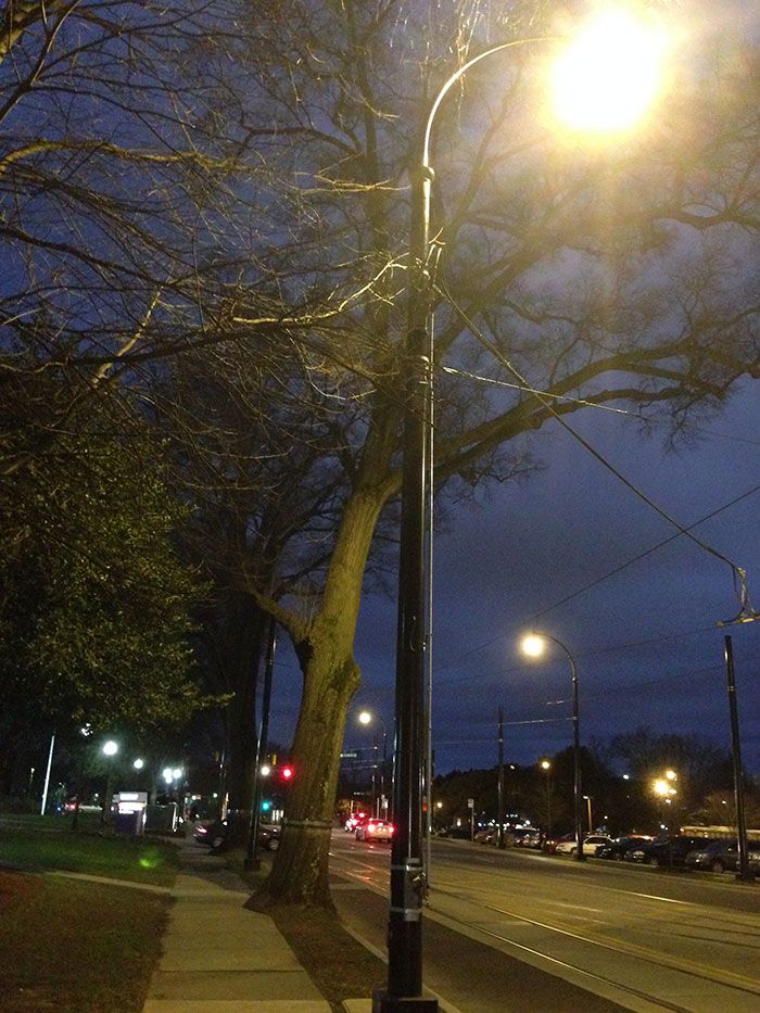 elizabeth street lights