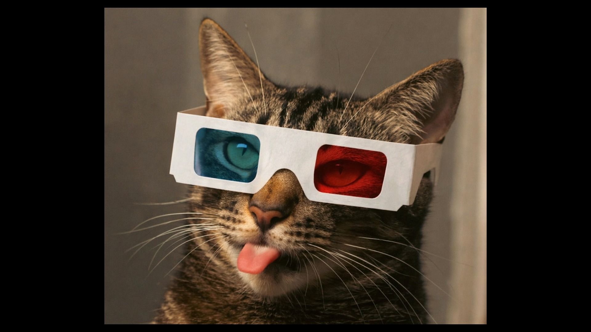 A cat wearing 3d glasses and sticking out its tongue